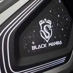 Ford Tourneo из Китая