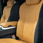 Ford Tourneo из Китая