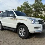 Toyota Prado (Import) 2009 из Китая