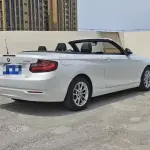 BMW 2 Series (Import) 2018 из Китая
