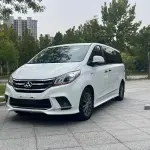大通 G10 2018 из Китая