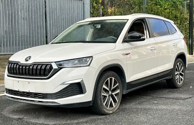 Skoda Kamiq 2021 из Китая