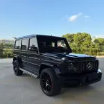 Mercedes-Benz G-Class 2018 245 л.с. — лот 56415159 из Китая