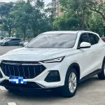 Oshan Oushang X5 2021 из Китая