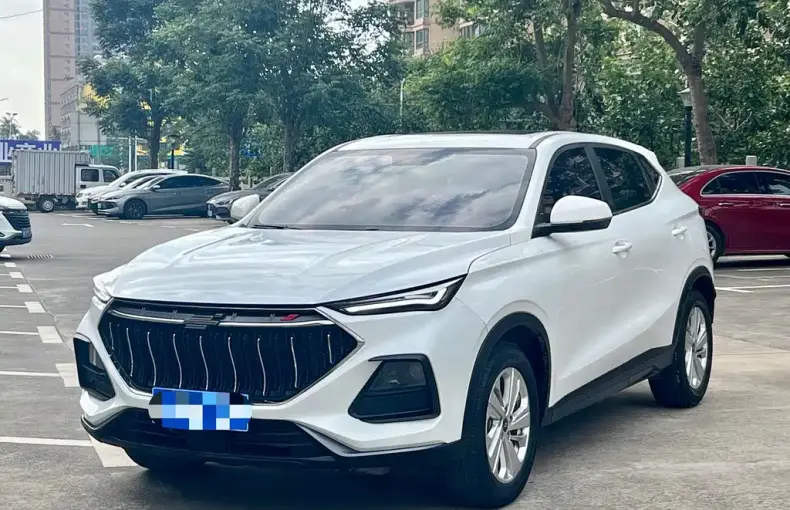 Oshan Oushang X5 2021 из Китая