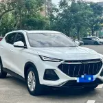 Oshan Oushang X5 2021 из Китая
