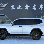 Toyota Land Cruiser 2025 лот 57133251 из Китая