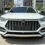 BYD PLUS 2020 из Китая