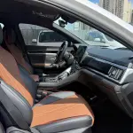 BYD PLUS 2020 из Китая