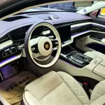 Hongqi 红旗金葵花国雅 2024 из Китая