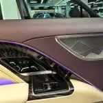 Hongqi 红旗金葵花国雅 2024 из Китая