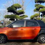 smart Smart Forfour 2019 из Китая