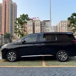 GAC Motor Trumpchi M8 2019 из Китая