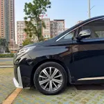 GAC Motor Trumpchi M8 2019 из Китая