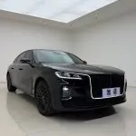 Hongqi Hongqi H9 2023 из Китая