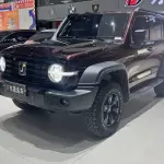 Tank Tank 300 2023 из Китая