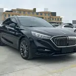Hongqi Hongqi H5 2021 из Китая
