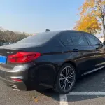 BMW 5 Series 2019 252 л.с. — лот 57098458 из Китая