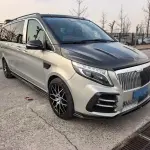 Mansory Mansory V-Class 2022 из Китая