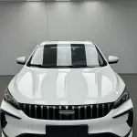 Geely Binrui 2025 из Китая