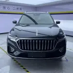 Hongqi Hongqi HS5 2023 из Китая
