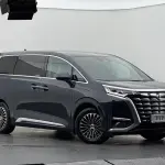 Denza Denza D9 2024 из Китая