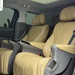 Denza Denza D9 2024 из Китая