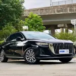 Hongqi Hongqi H5 2023 из Китая