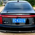 Hongqi Hongqi H9 2021 из Китая