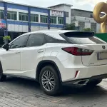 Lexus RX 2019 из Китая