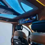 Juntian 沃森威尔福特黑武士 2023 из Китая