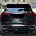 Hongqi Hongqi E-HS9 2023 лот 56620142 из Китая