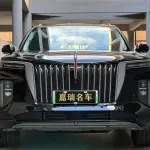 Hongqi Hongqi E-HS9 2023 лот 56620142 из Китая
