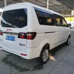 Jinbei Golden Sea Lion M Classic 2024 из Китая