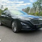 Hongqi Hongqi H5 2021 169 л.с. — лот 56647345 из Китая