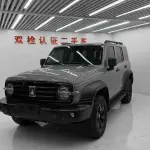 Tank Tank 300 2021 из Китая