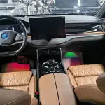 BYD Tang New Energy 2024 из Китая