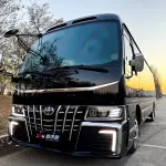 Toyota Coaster 2022 лот 56700749 из Китая
