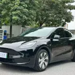 Tesla Model Y 2022 из Китая