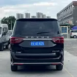 大通 G20 2022 из Китая