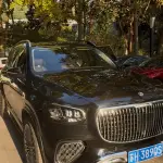 Mercedes-Benz GLS 2023 367 л.с. — лот 56974171 из Китая