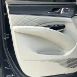 Denza Denza D9 2023 из Китая