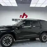 Tank Tank 700 New Energy 2025 524 л.с. из Китая