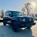 Tank Tank 300 2023 227 л.с. — лот 56989385 из Китая