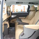 Denza Denza D9 2022 из Китая