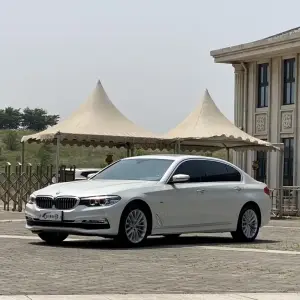 BMW 5 Series 2018 252 л.с. — лот 57015802 из Китая