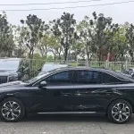 Hongqi Hongqi E-QM5 2023 лот 57032067 из Китая