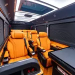 Hongqi 红旗金葵花国悦 из Китая