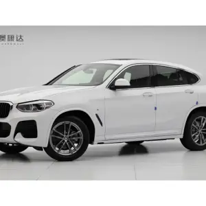 BMW X4 2020 из Китая