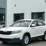 Skoda Kamiq 2020 из Китая